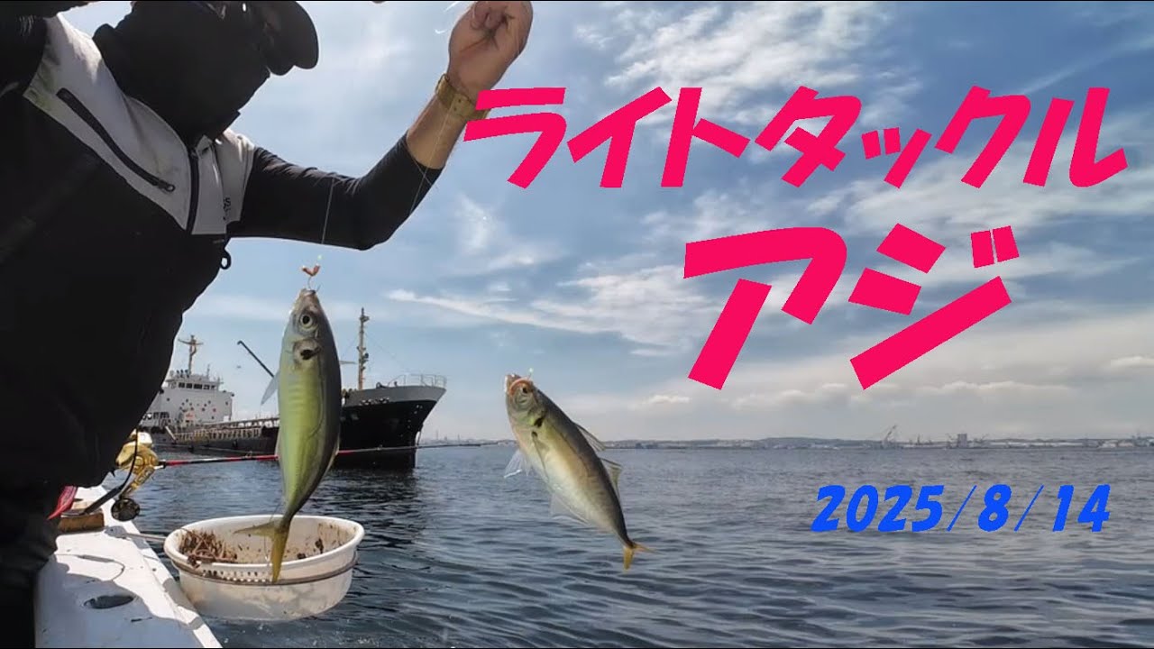 ライトタックルアジ (ライトアジ) 2025/8/14 粂丸・新山下