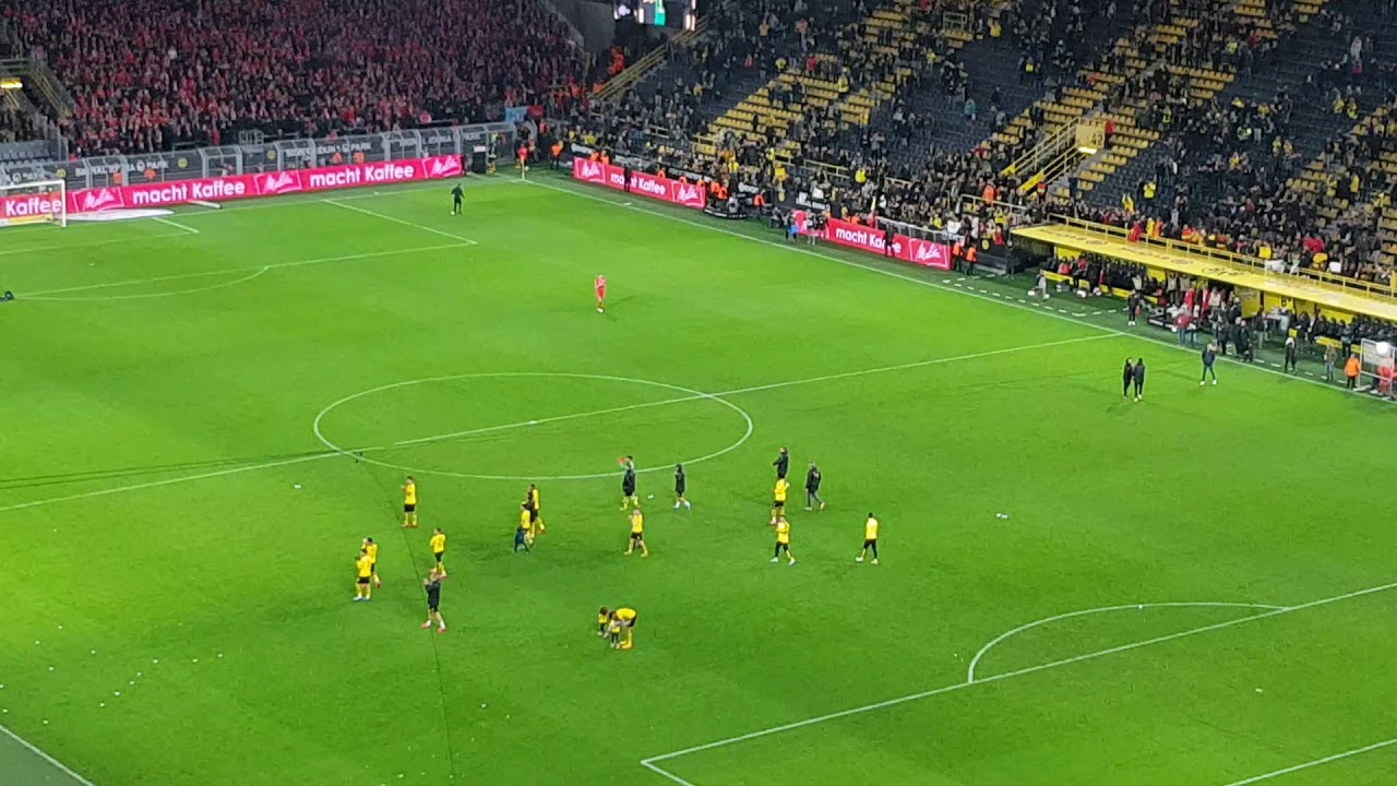 BVB Union Neven Subotic...