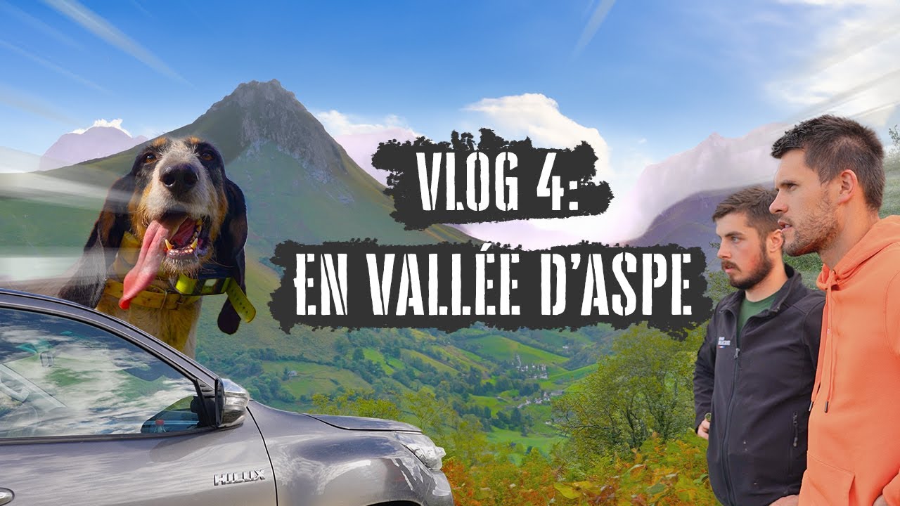 La chasse au sanglier en montagne : vallée de barétous (vlog 4)
