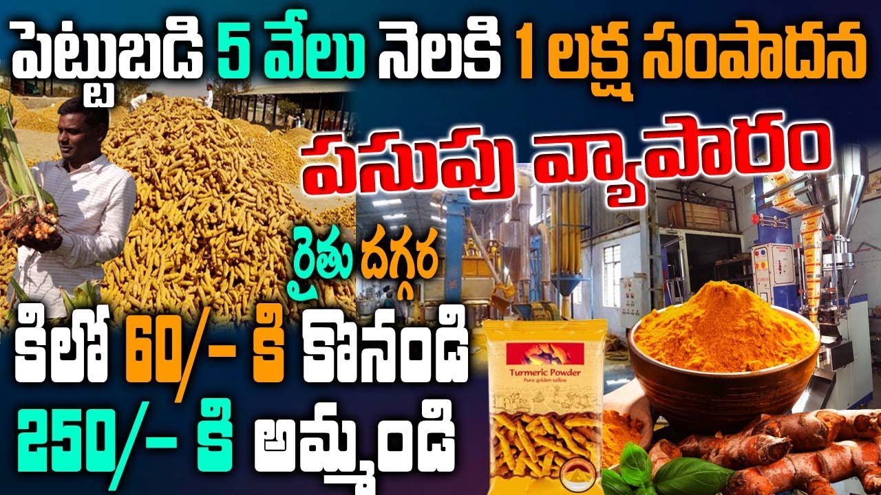 Turmeric powder Business Telugu |Pasupu business idea| small business ideas| own business guru|