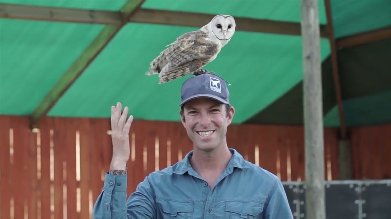 Capturing Majestic Raptors: A Photography Journey at Eagle Encounters with Steve Benjamin