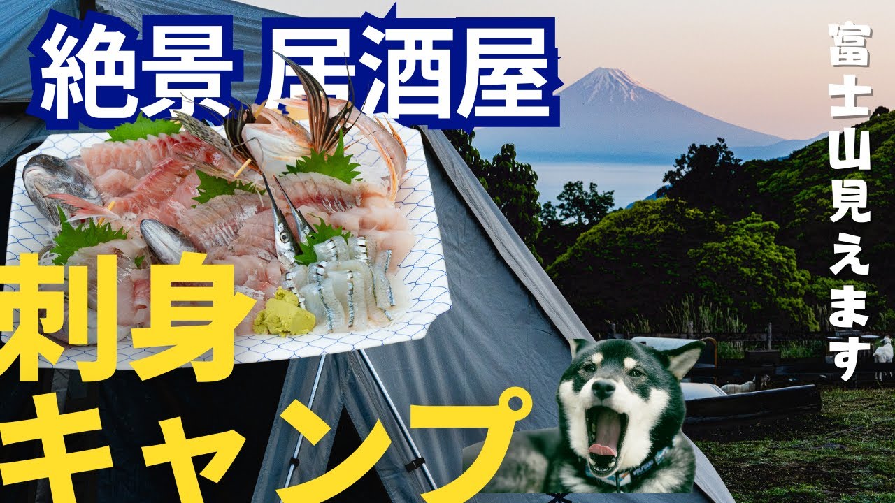 リピ確定！舟盛りが届くキャンプ場で犬連れファミリーキャンプ【静岡県・伊豆キャンファーム】