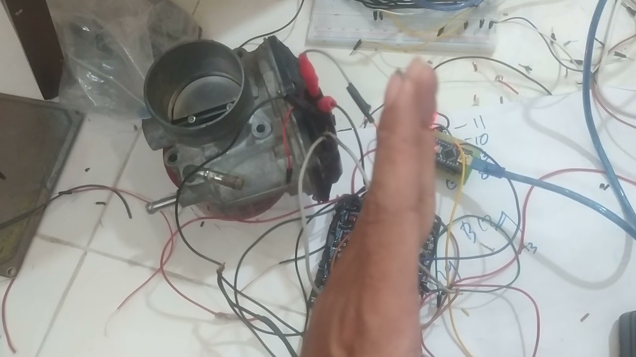 Speeduino DBW powered Arduino Modal 100ribu buat sendiri