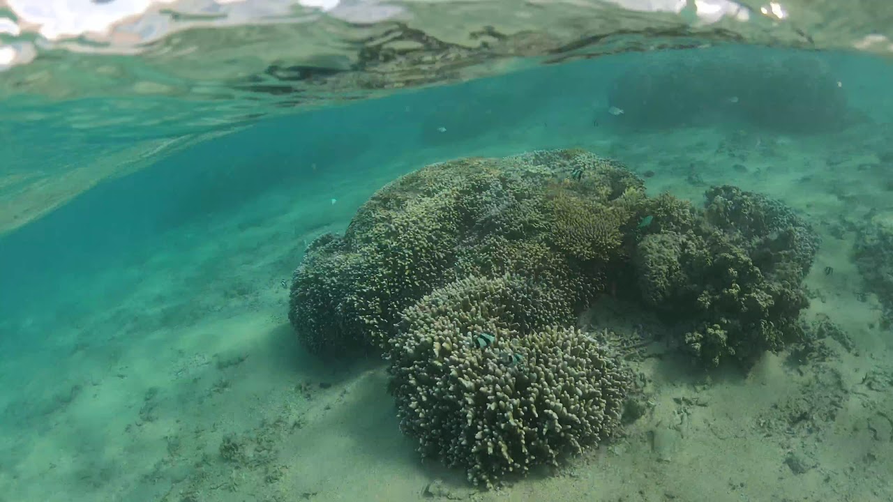 Essai Lagon R&eacute;union 2019