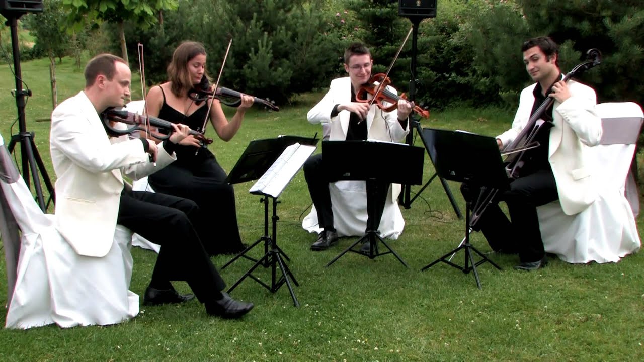 Oasis 'Whatever' - Strelitzia String Quartet