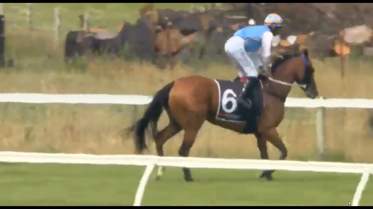 ASCOT PARK NEW ZEALAND RACE 1 AND TAMWORTH AUSTRALIA RACE 1 ON 22 JAN 2026