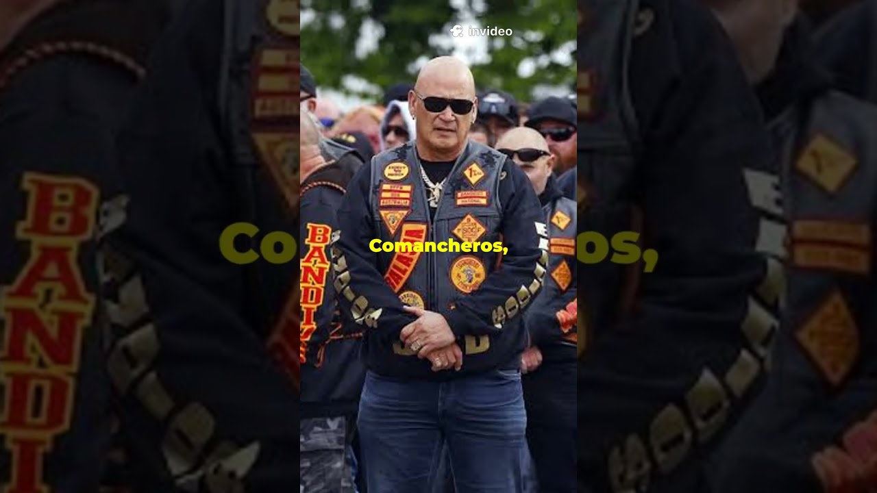 5 Bikie Gangs in Australia #bikie #facts ##history #bikers