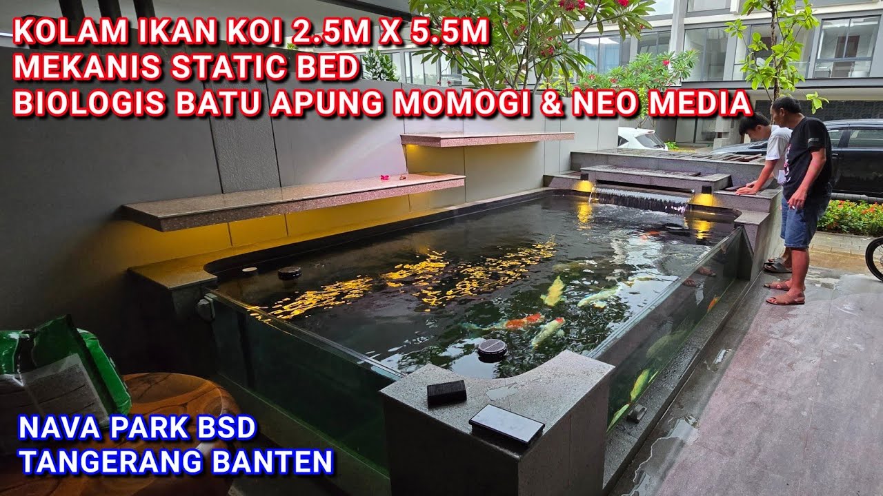 KOLAM IKAN KOI OUTDOOR 2.5M X 5.5M X 1.5M AIR | NAVA PARK BSD TANGERANG BANTEN