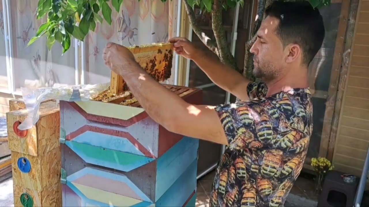 Apicultura de zi cu zi: când oferi încredere și primești dezamăgire.