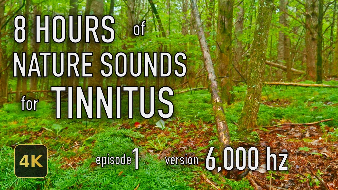 8 Hours Nature Sounds for Tinnitus — EP 1 | [6,000 Hz] | 4K HDR10 - E01-6000