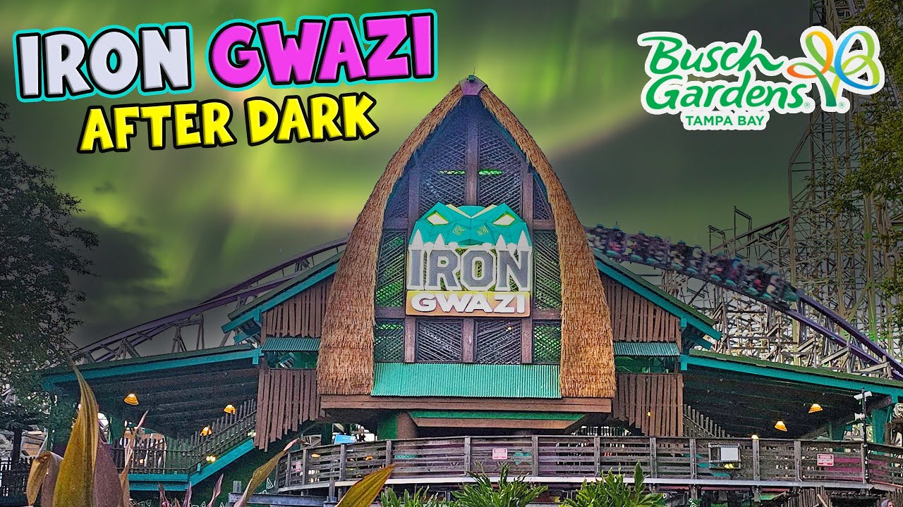 Iron Gwazi AFTER DARK On-Ride POV at Busch Gardens Tampa Bay (Jan 2026) [4K]