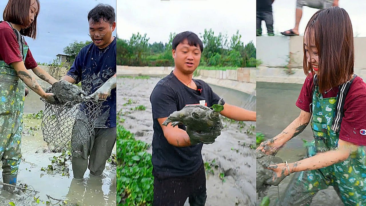 Chi 500 tệ bao ao ba ba nuôi 10 năm, cái kết khiến chủ ao bật khóc