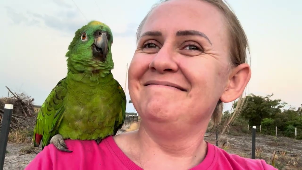 ESCUTEM A FOFOCA DO BICUDO 