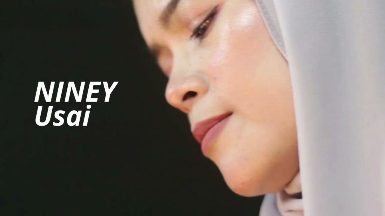 USAI - NINEY