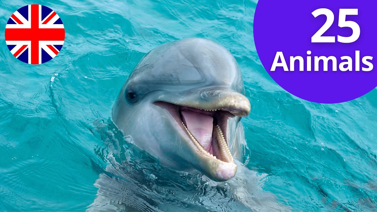 Animal Sounds for Kids | Learn 25 Sea & Farm Animals