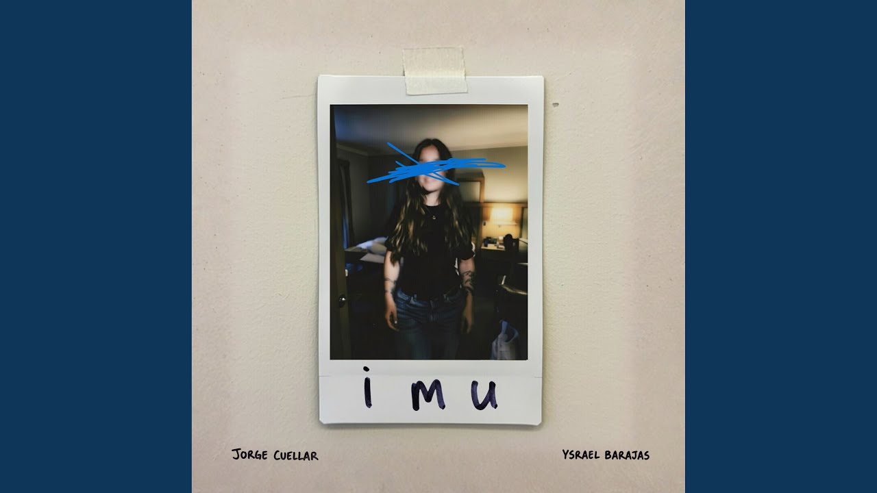 IMU