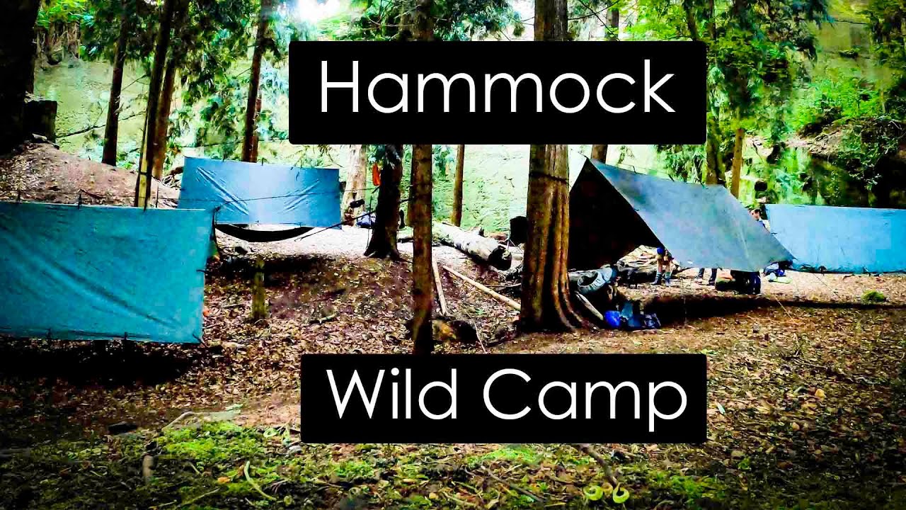 Hammock Wild camping with the boys