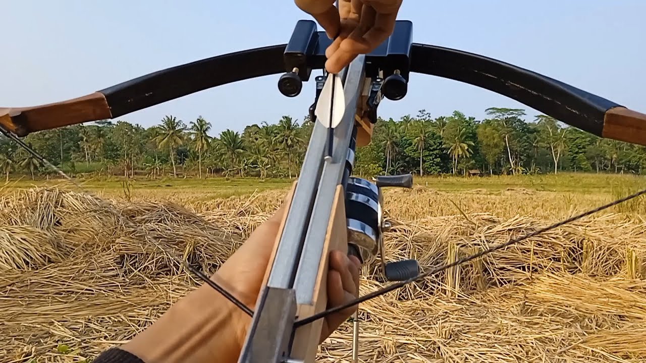 Tes Lapangan | DIY Crossbow review & test