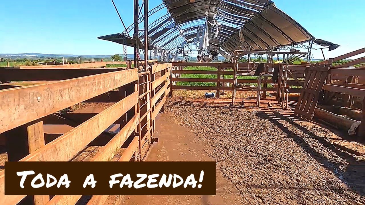 MOSTRANDO TODA A FAZENDA PRA VOCÊS, PRIMEIRO VÍDEO COM A GOPRO!!