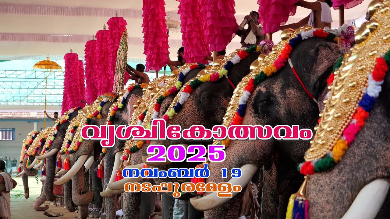 VRISCHIKOLSAVAM . 2025 . NADAPPURA MELAM