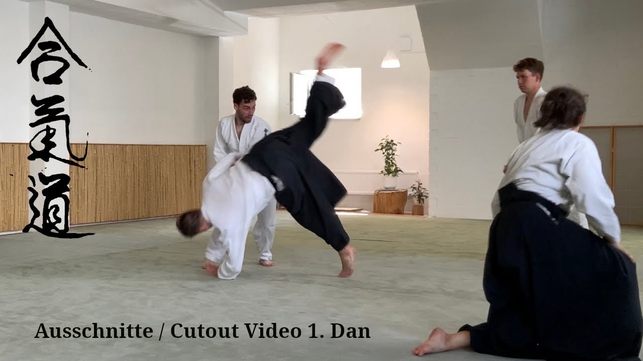 Ausschnitte /Cutout Video 1. Dan
