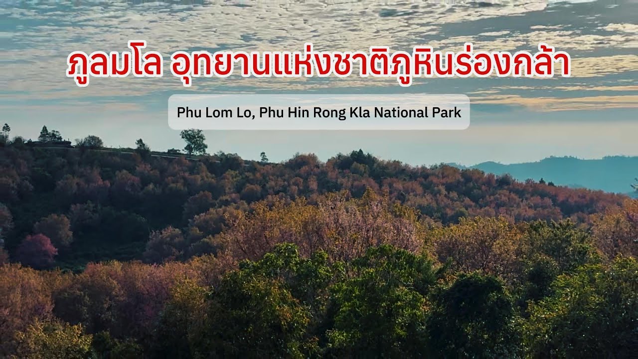 ภูลมโล อุทยานแห่งชาติภูหินร่องกล้า (Ep.45, Phu Lom Lo, Phu Hin Rong Kla National Park, 2025-12-31)
