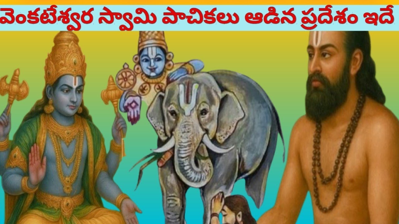 వెంకటేశ్వర స్వామి పాచికలు ఆడిన ప్రదేశం | తిరుమల | వేణుగోపాలస్వామి ఆలయం @srividya-muchatlu 