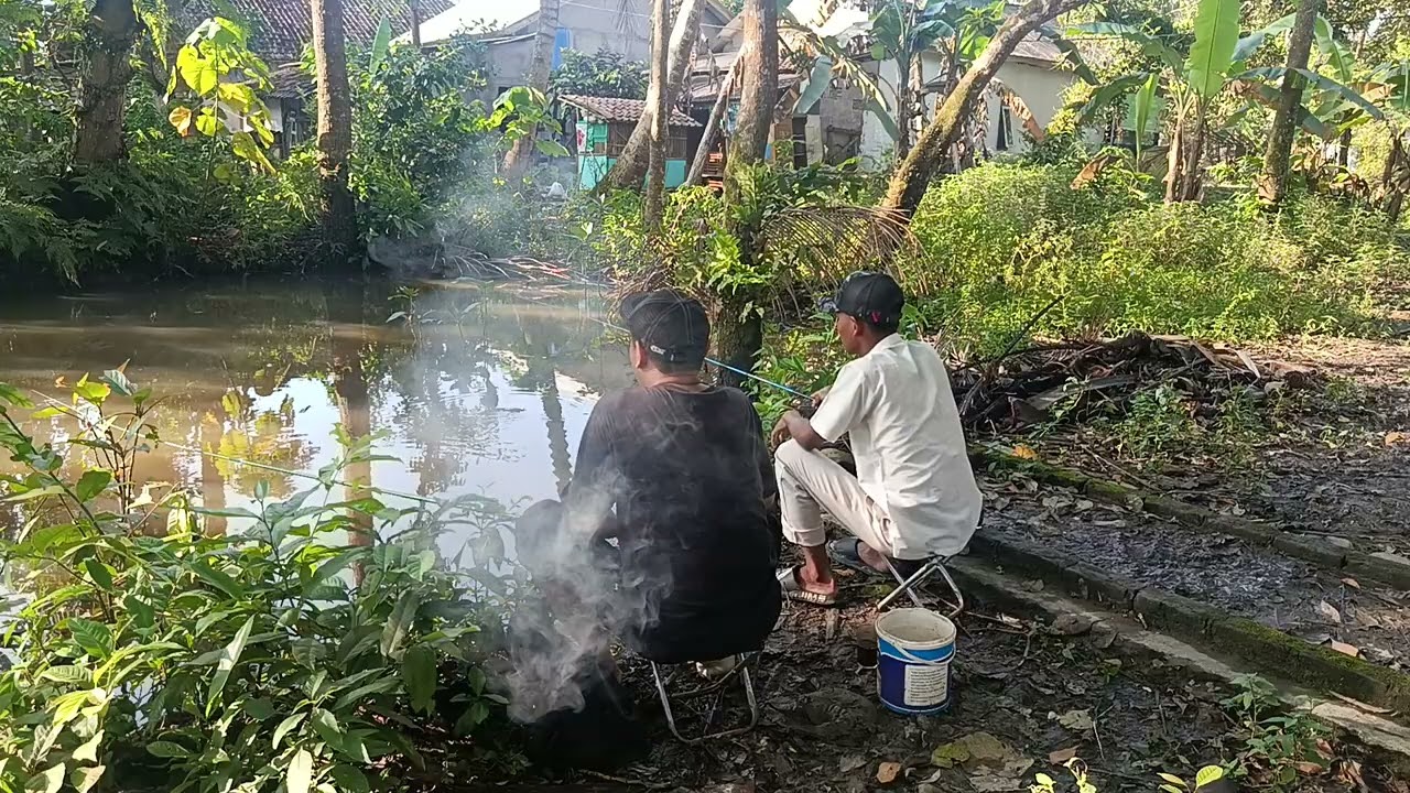 Mancing di tempat ini melihat ada biyawak naik pohon