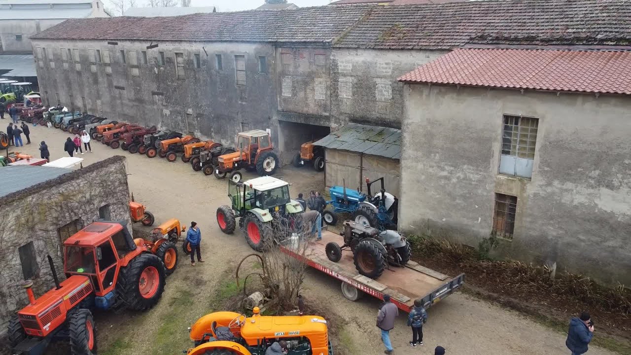 Festa di Sant'Antonio Abate e Sfilata Trattori -  15 Gennaio 2023 - Concamarise (VR)