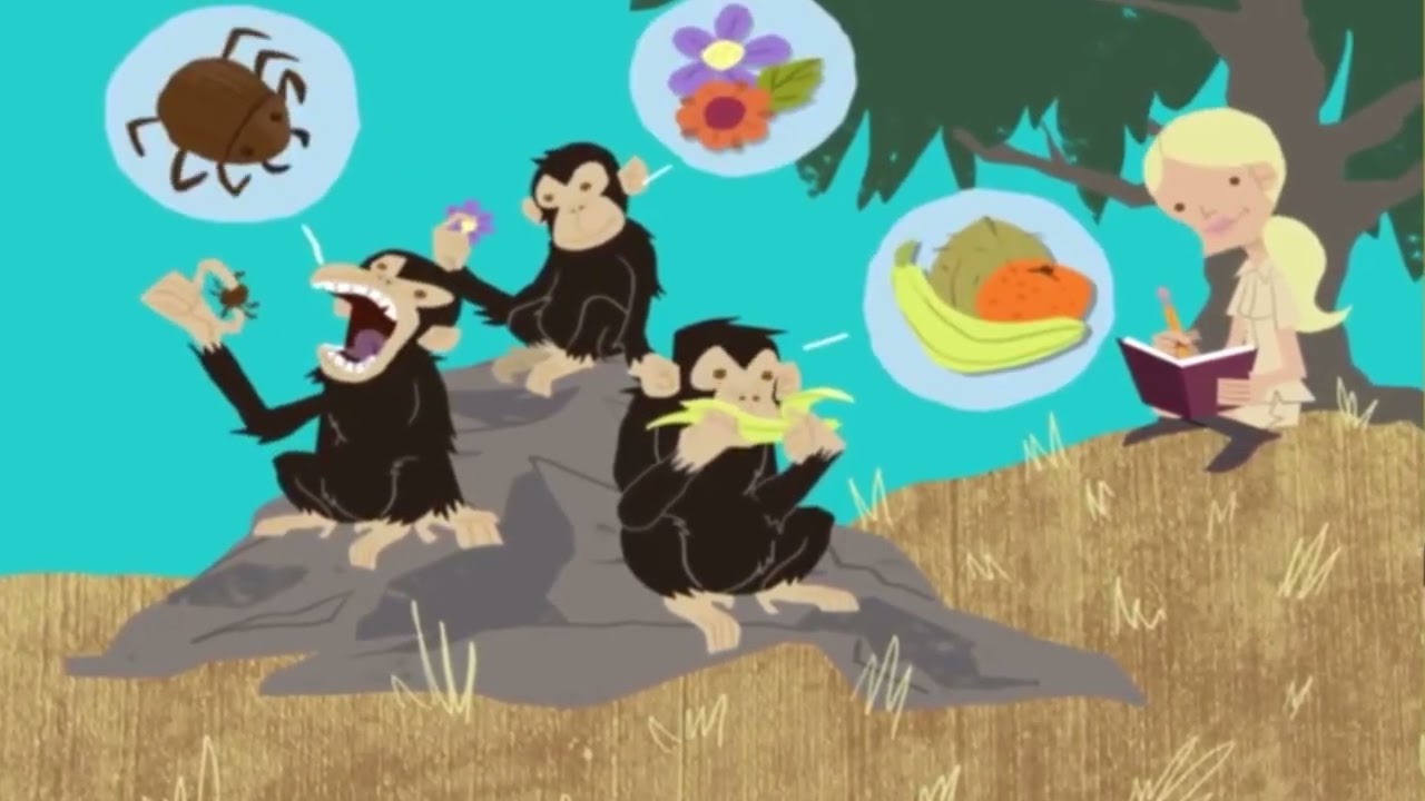 The Kids ABC's At The Zoo (Animated Version)