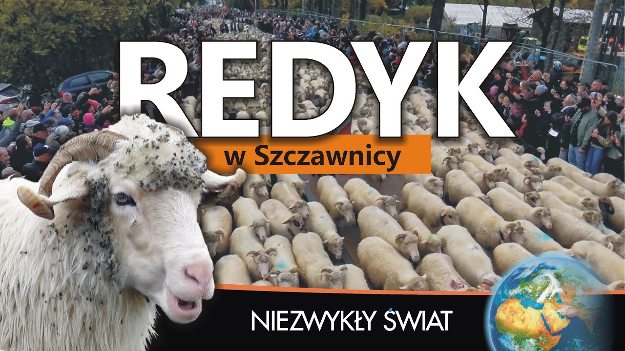 Kamperem na redyk — nie tak to sobie wyobrażaliśmy.