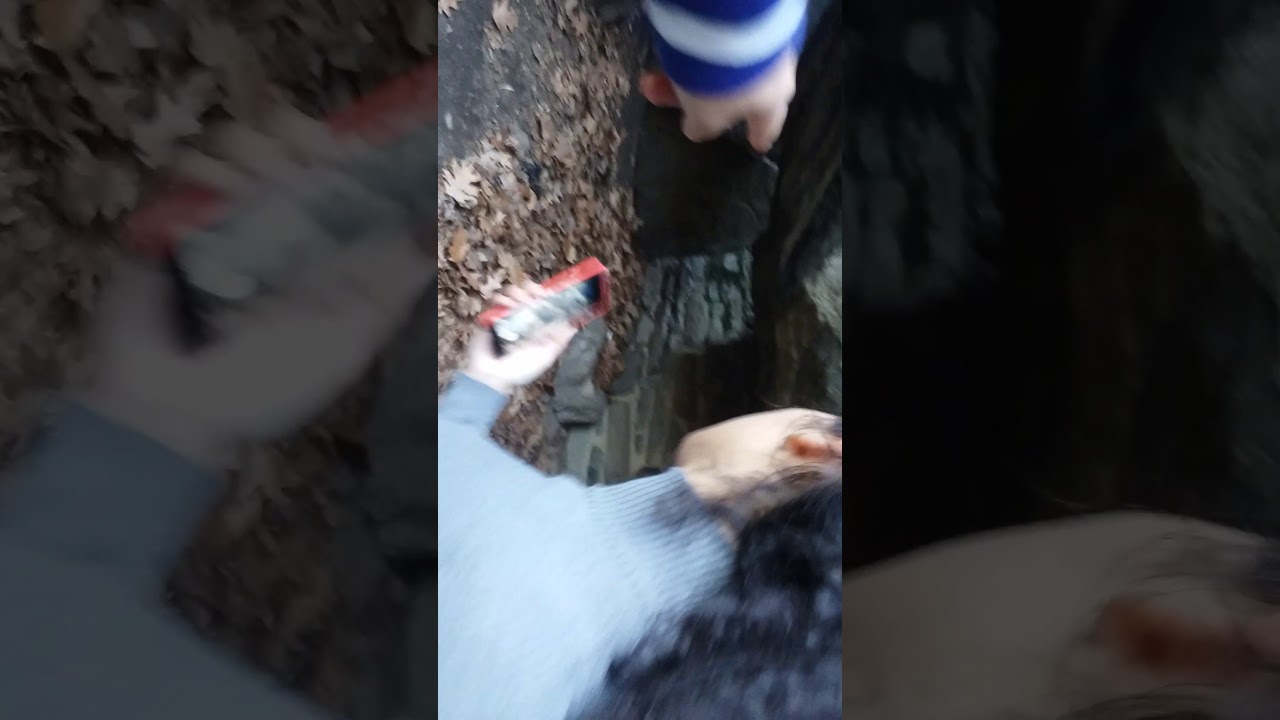 Ramble cave in central park  (secret cave)