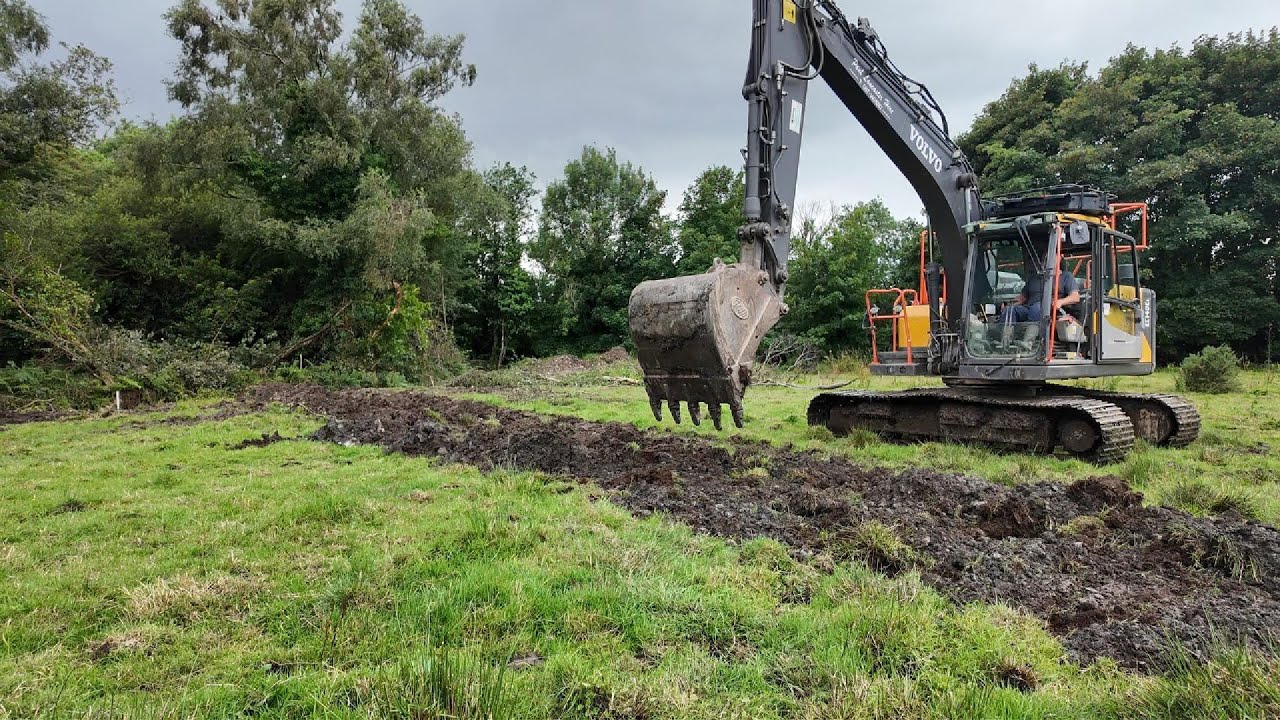 Drainage and weighing bulls