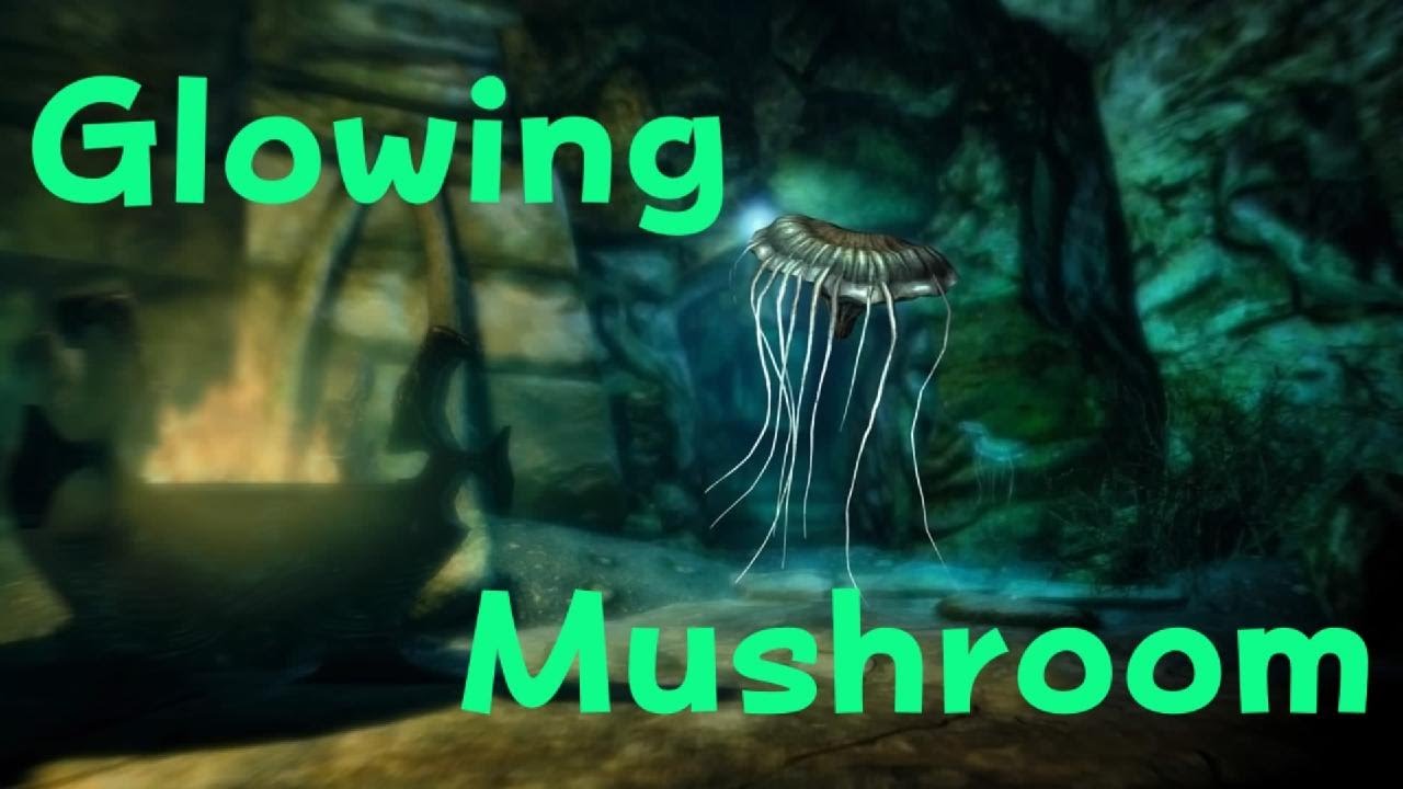 SKYRIM - GLOWING MUSHROOM Location