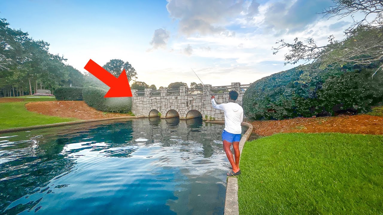 Exploring Urban Ponds for MONSTER Bass (These City Ponds Are LOADED With Bass)