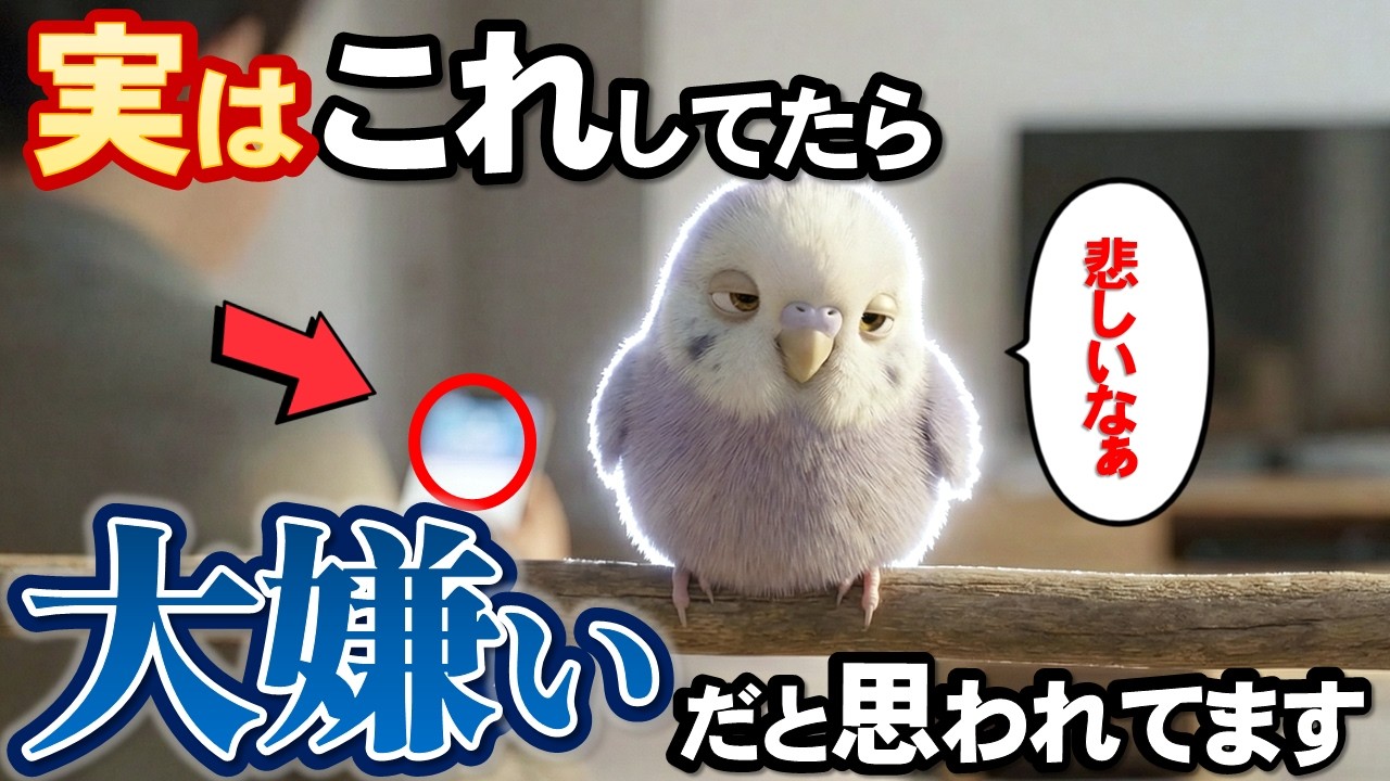 嫌われない為に絶対知っておくべき5つのこと【インコのきもち】