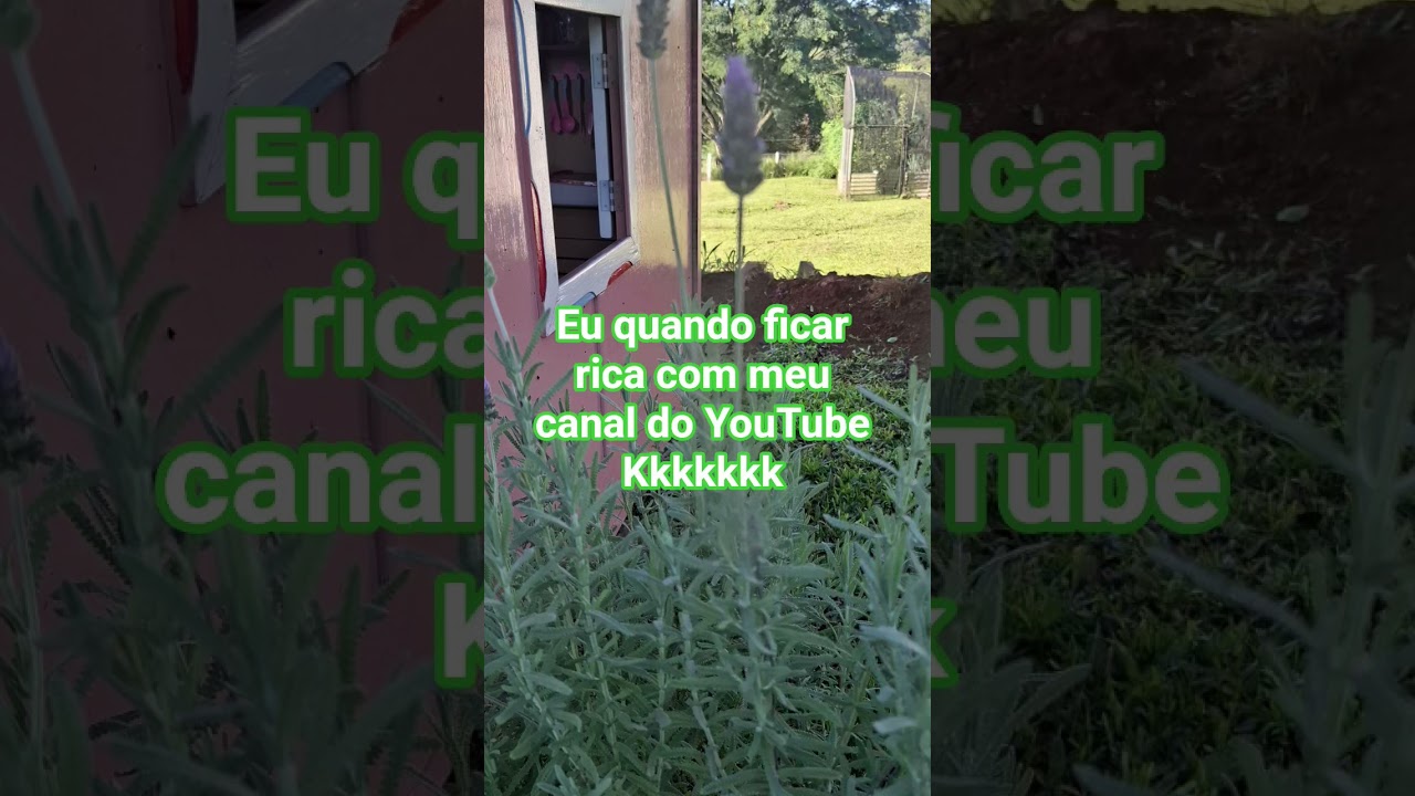 Um luxo, um nojo! kkkkkkkk Shorts engraçado.