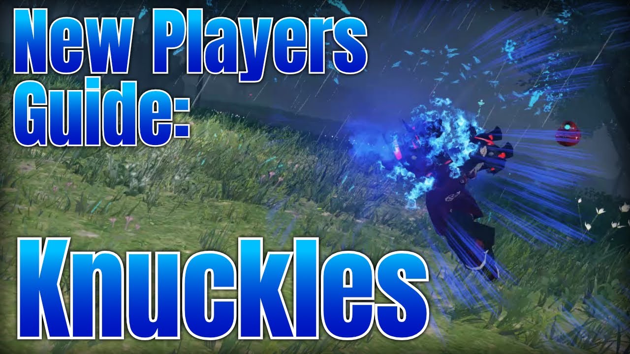 New Players Guide to Knuckles | PSO2:NGS
