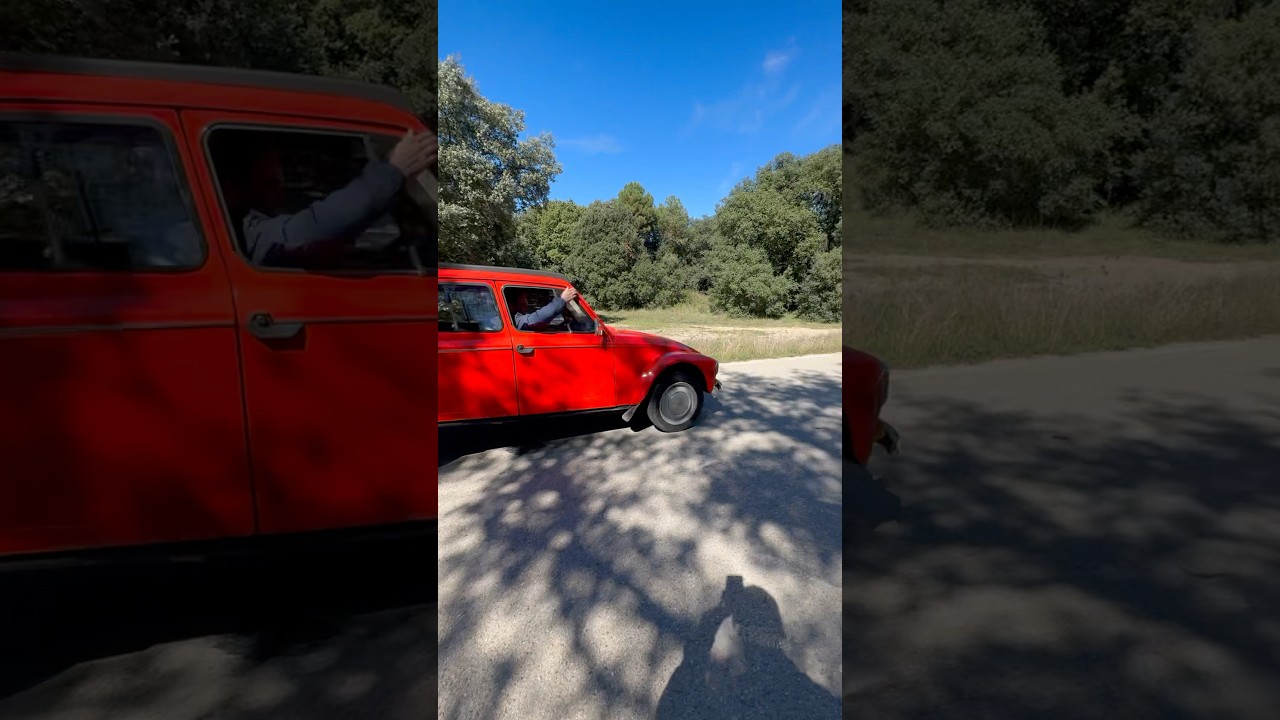 Citroën Dyane 6 clásico 