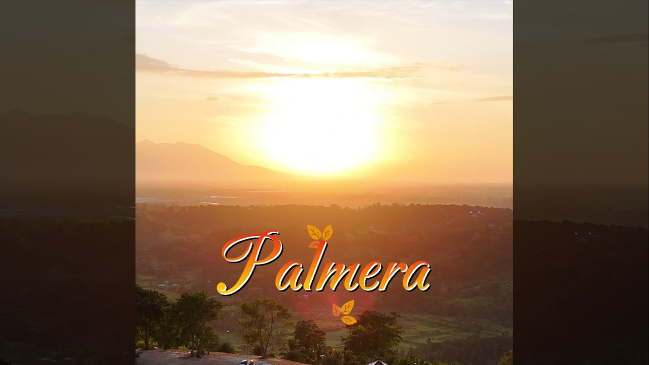 Palmera by Z-Family | Z-Fam Camping with Friends | Bella Montana Campsite