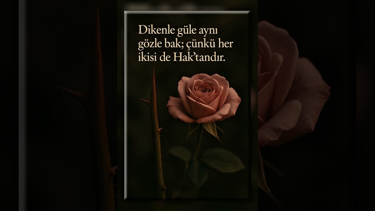 #sufichannel #şairsufi #ilahi #tasavvuf #tasavvufm&uuml;ziği #trendshort #islam #mevlana #yunusemre