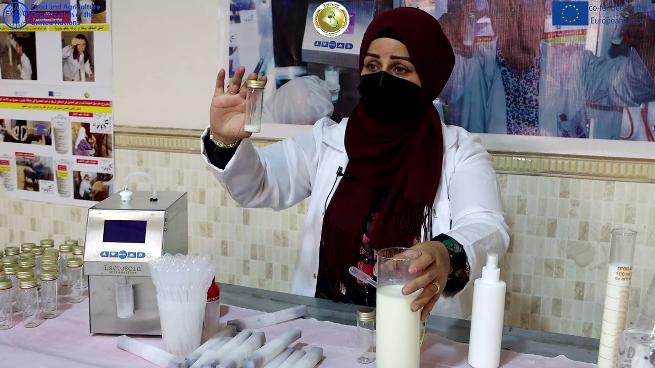 الدليل العلمي لفحص ومعرفة ابرز طرق غش الحليب وطرق الكشف عنها