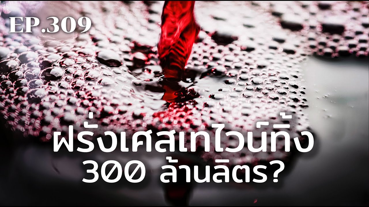 ไม่นิยมแล้ว? ไวน์ฝรั่งเศสล้นตลาดจนต้องทำลายทิ้ง | ร้อยเรื่องรอบโลก EP309