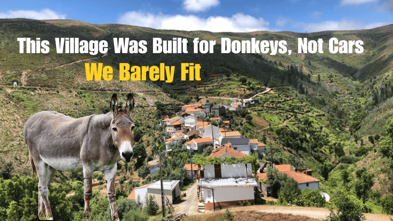 Built for Donkeys, Not Cars | Getting to Our Cabin Isn’t Easy