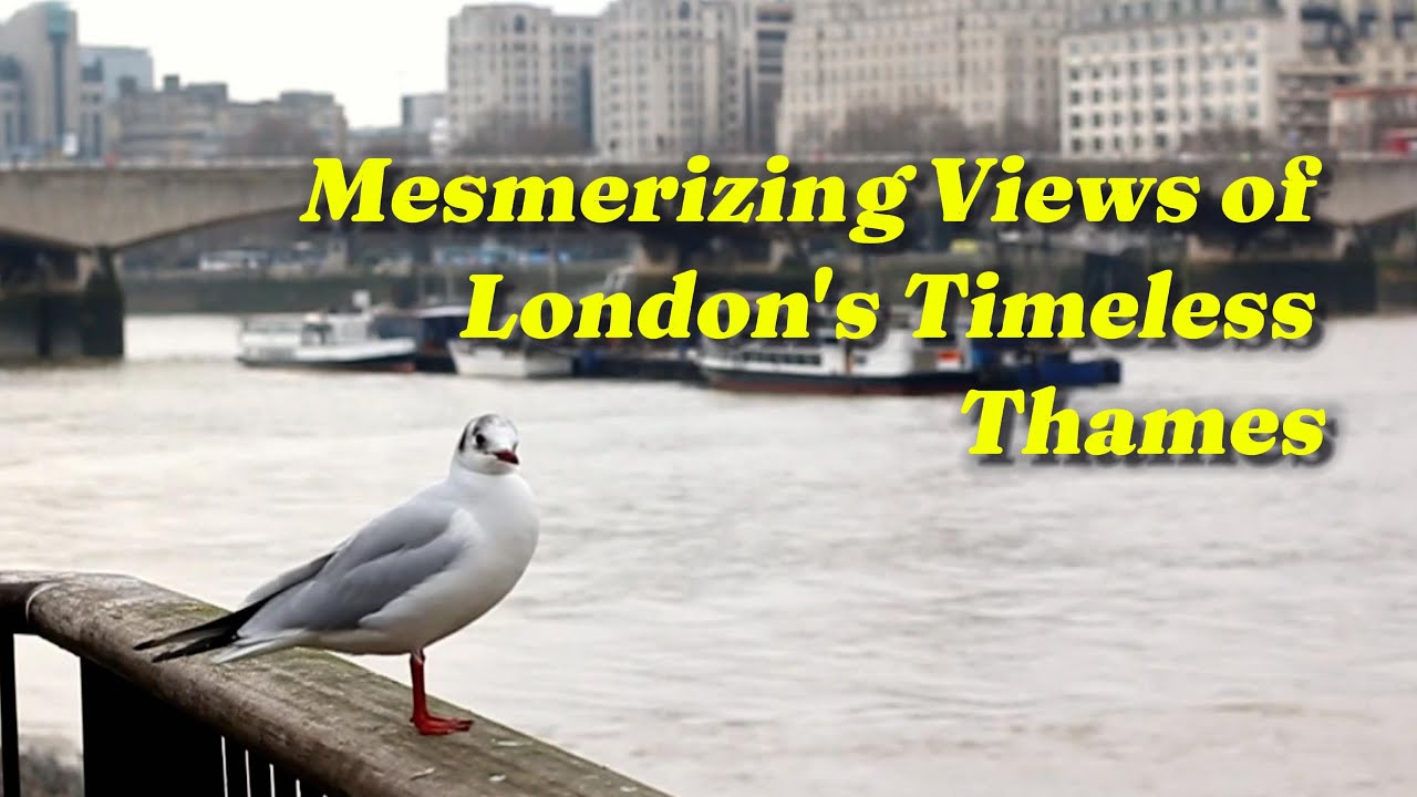 Unforgettable Thames Views: Experience London’s Iconic River