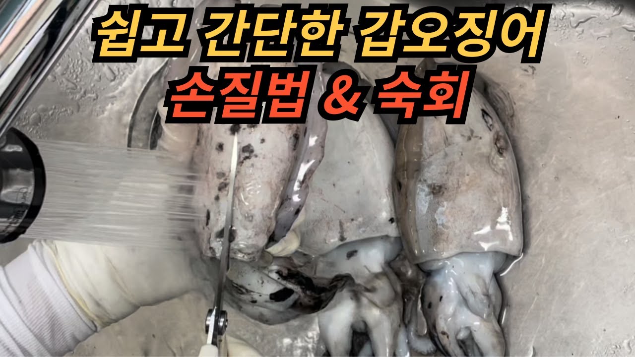 갑오징어 손질/ 집에서 간단하게 갑오징어 숙회를 만드는 비법을 알려드립니다