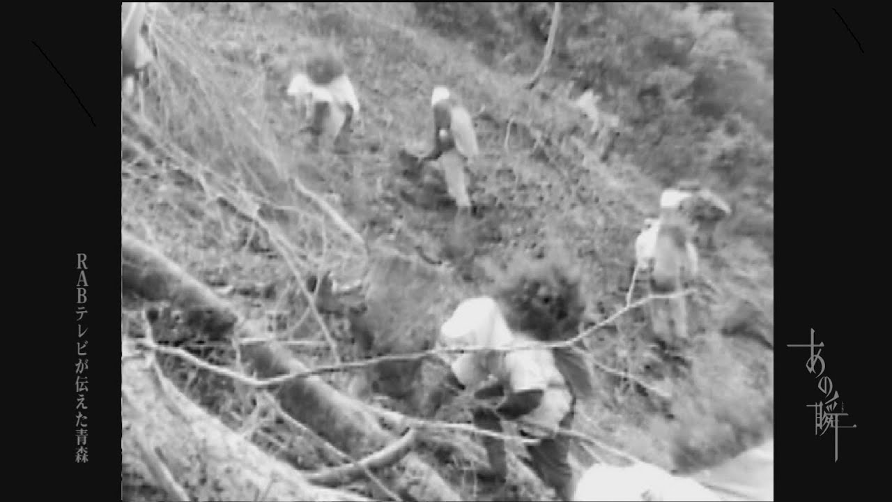 1966 森を作る主役は女性たち 西目屋村