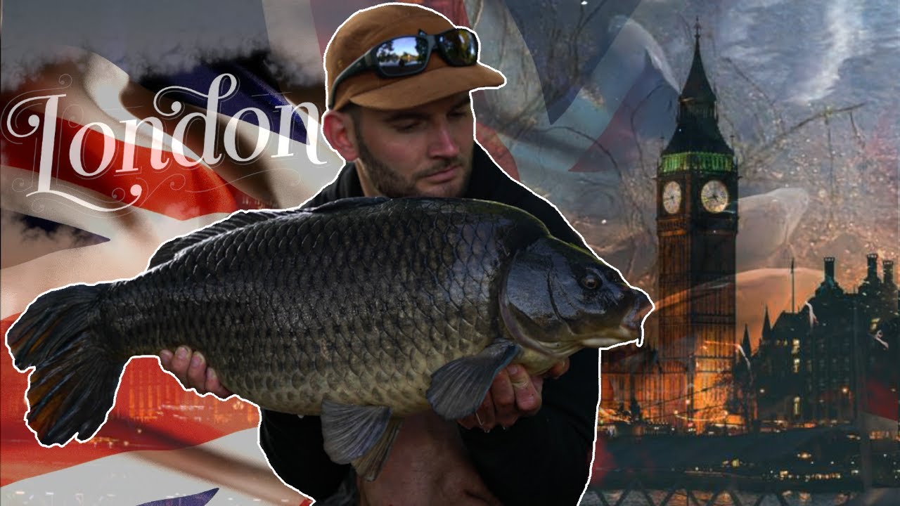 In the chaos of London!! (Searching for new waters)