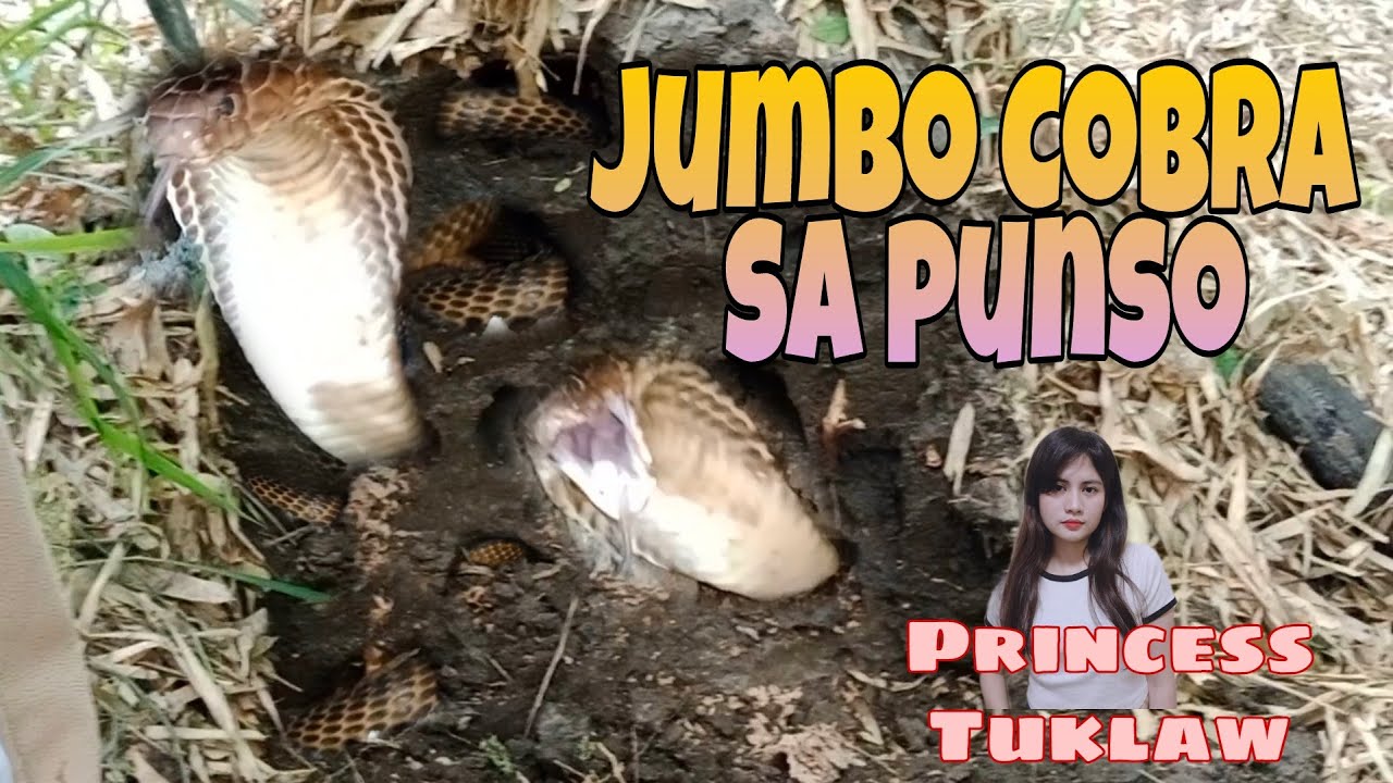JUMBO COMBRA SA PUNSO PRINCESS TUKLAW AT ROD HARING TUKLAW TO THE RESCUE