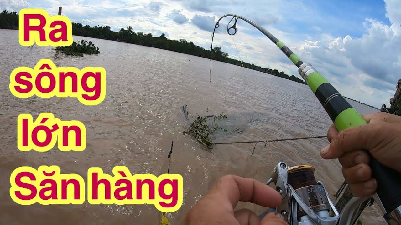 Chạy Xuồng 10 Cây Số Để Đi Săn Cá kể Khu Này Cá Nhiều lắm @Xuanthuong91 